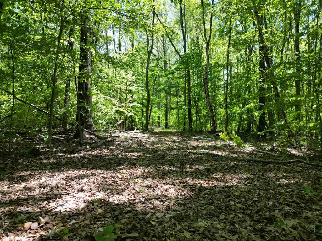 Prime Hunting Land Near Locust Grove & Culpeper, VA