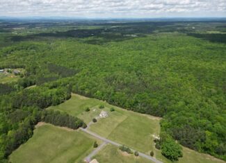 Prime Hunting Land Near Locust Grove & Culpeper, VA