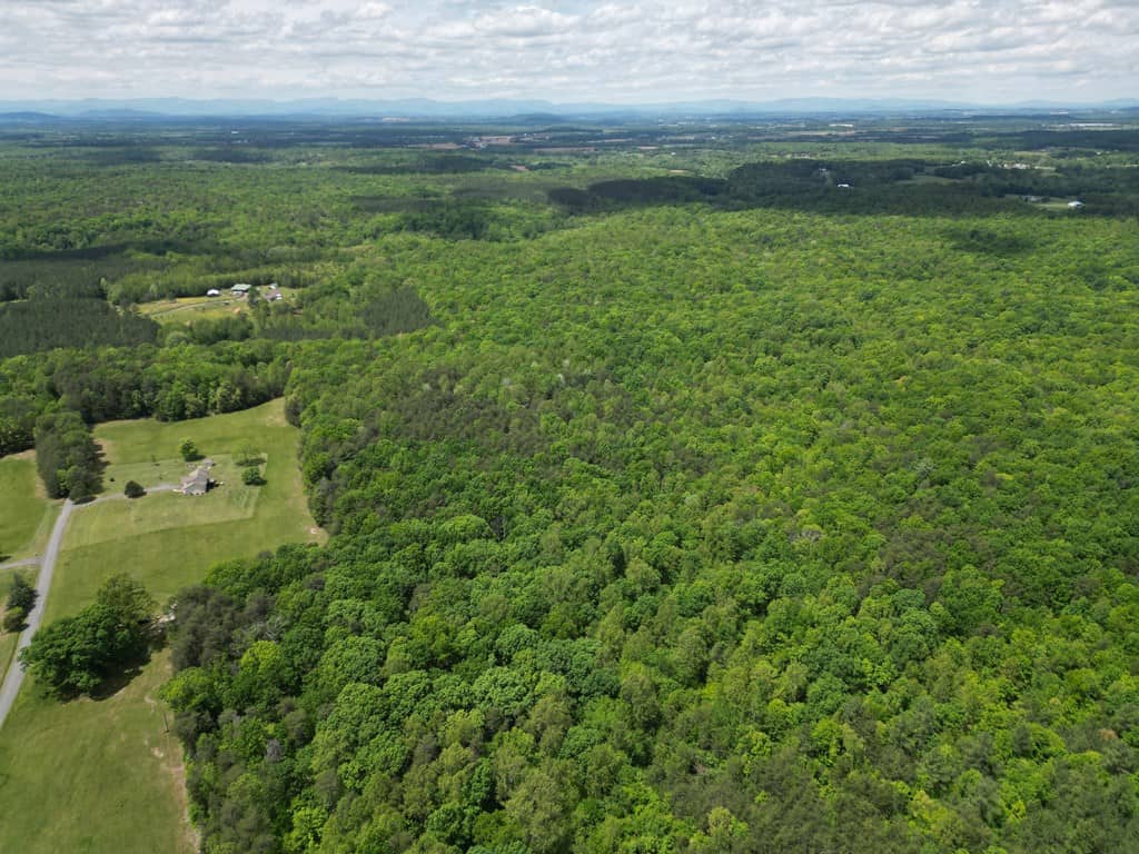 Prime Hunting Land Near Locust Grove & Culpeper, VA