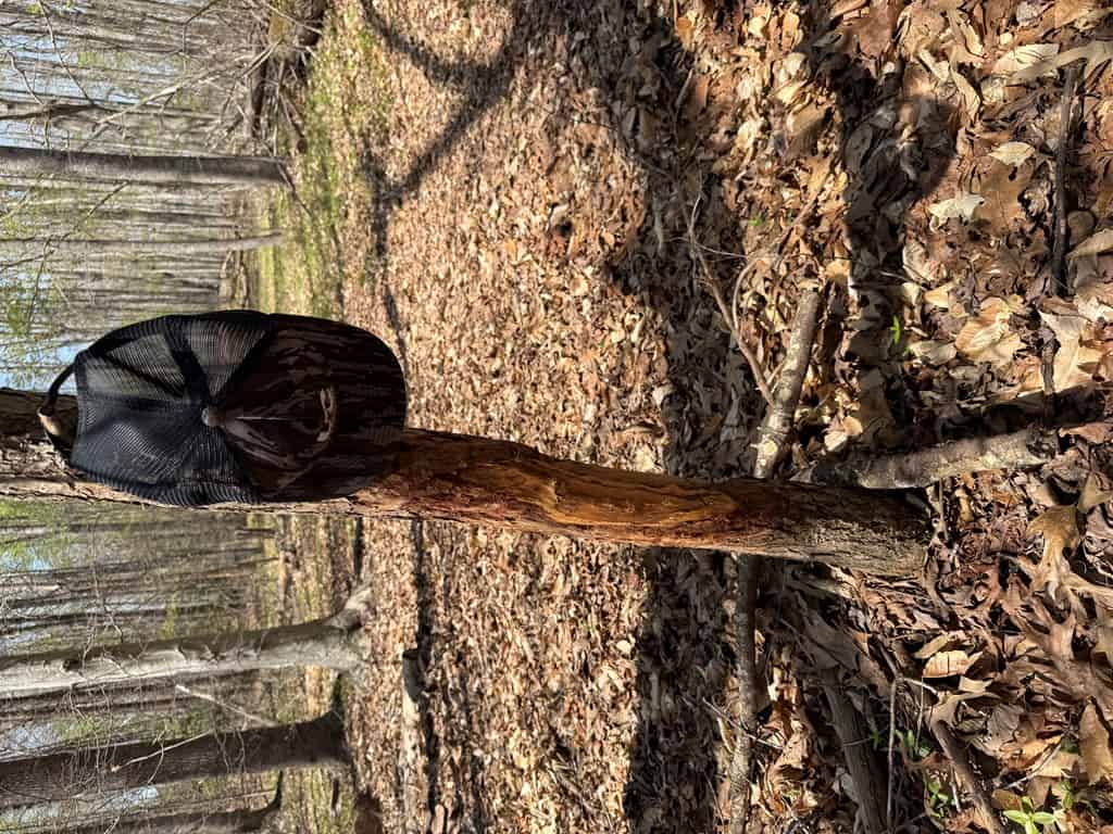 Prime Hunting Land Near Locust Grove & Culpeper, VA