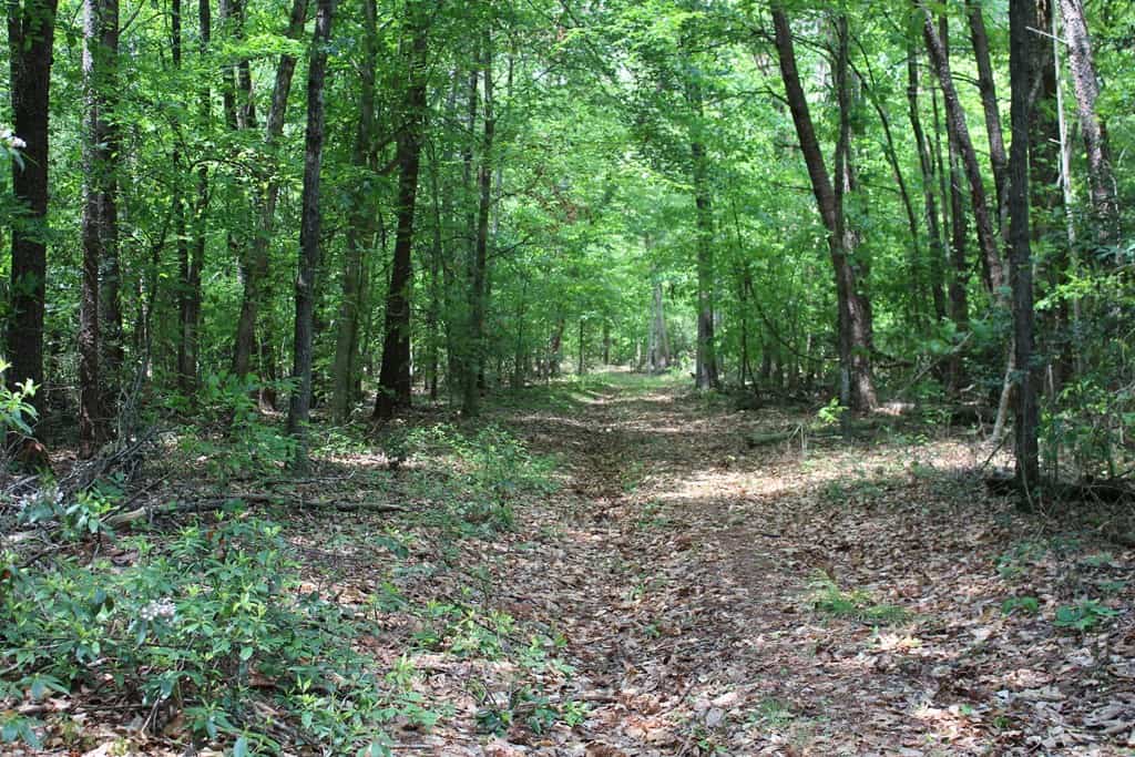 Prime Hunting Land Near Locust Grove & Culpeper, VA