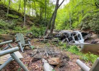 Historic Hunting Retreat with Private Waterfall and Cabin Lodge