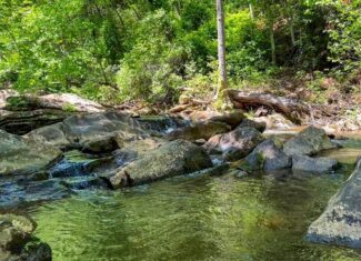 Historic Hunting Retreat with Private Waterfall and Cabin Lodge