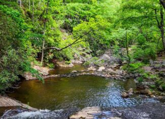Historic Hunting Retreat with Private Waterfall and Cabin Lodge