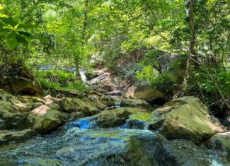 Historic Hunting Retreat with Private Waterfall and Cabin Lodge