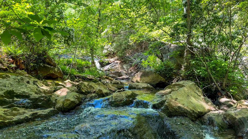 Historic Hunting Retreat with Private Waterfall and Cabin Lodge
