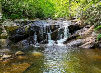 Historic Hunting Retreat with Private Waterfall and Cabin Lodge