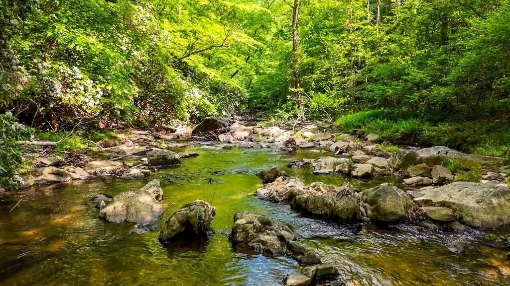 Historic Hunting Retreat with Private Waterfall and Cabin Lodge