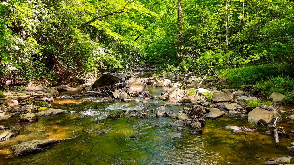 Historic Hunting Retreat with Private Waterfall and Cabin Lodge