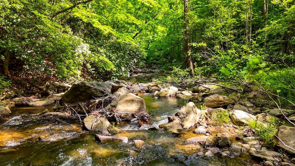 Historic Hunting Retreat with Private Waterfall and Cabin Lodge