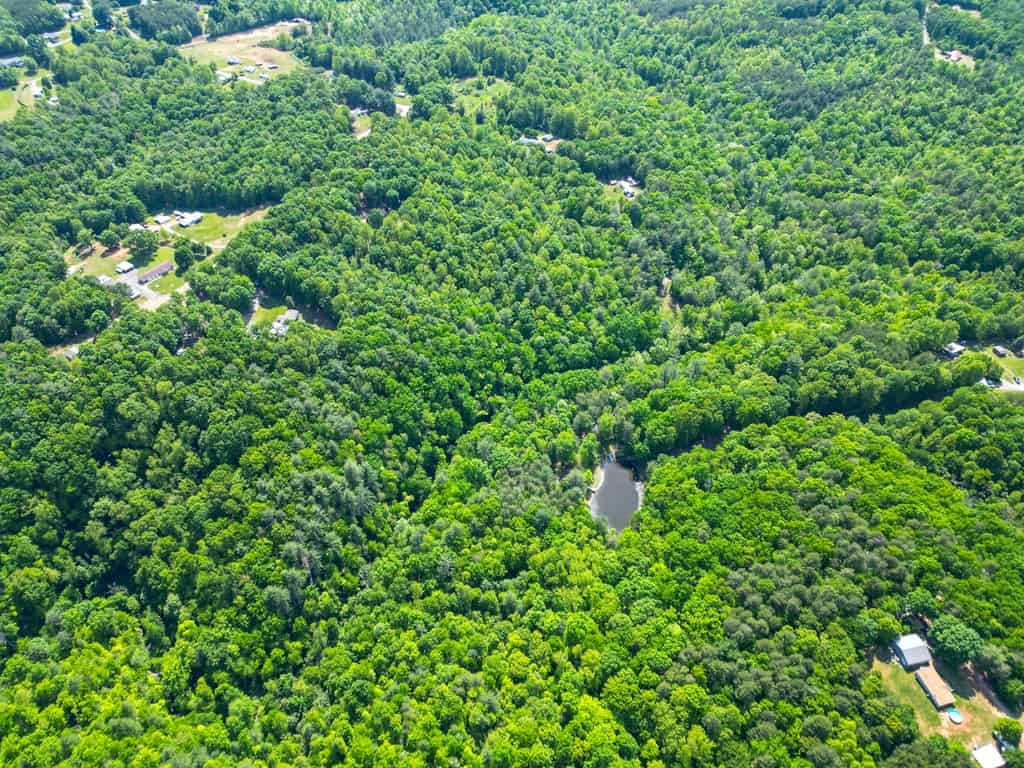 Historic Hunting Retreat with Private Waterfall and Cabin Lodge
