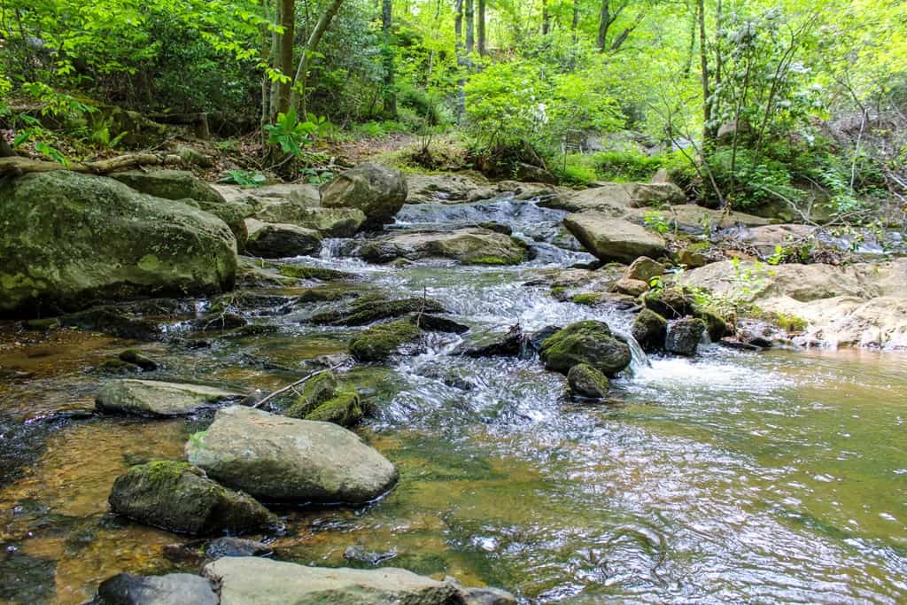 Historic Hunting Retreat with Private Waterfall and Cabin Lodge