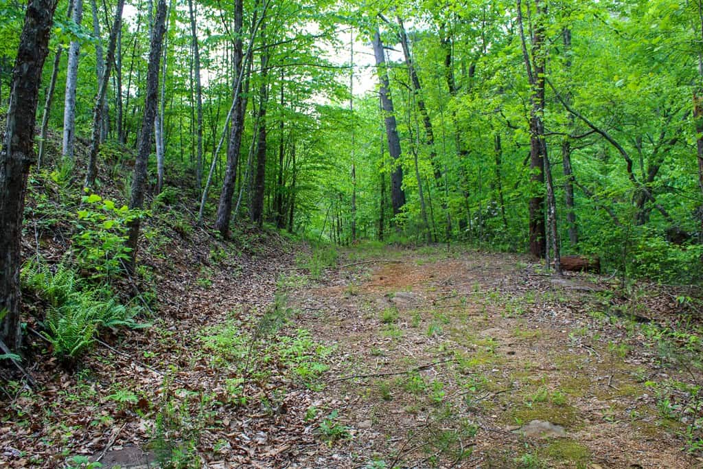 Historic Hunting Retreat with Private Waterfall and Cabin Lodge