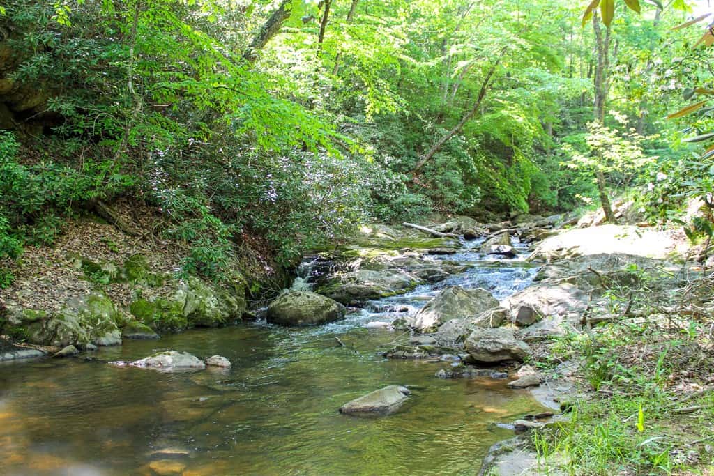 Historic Hunting Retreat with Private Waterfall and Cabin Lodge