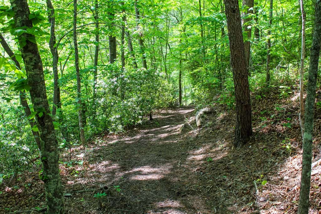 Historic Hunting Retreat with Private Waterfall and Cabin Lodge