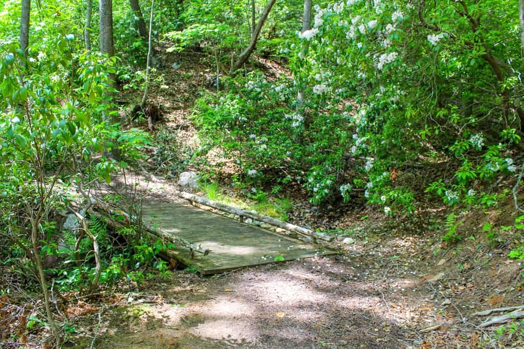 Historic Hunting Retreat with Private Waterfall and Cabin Lodge