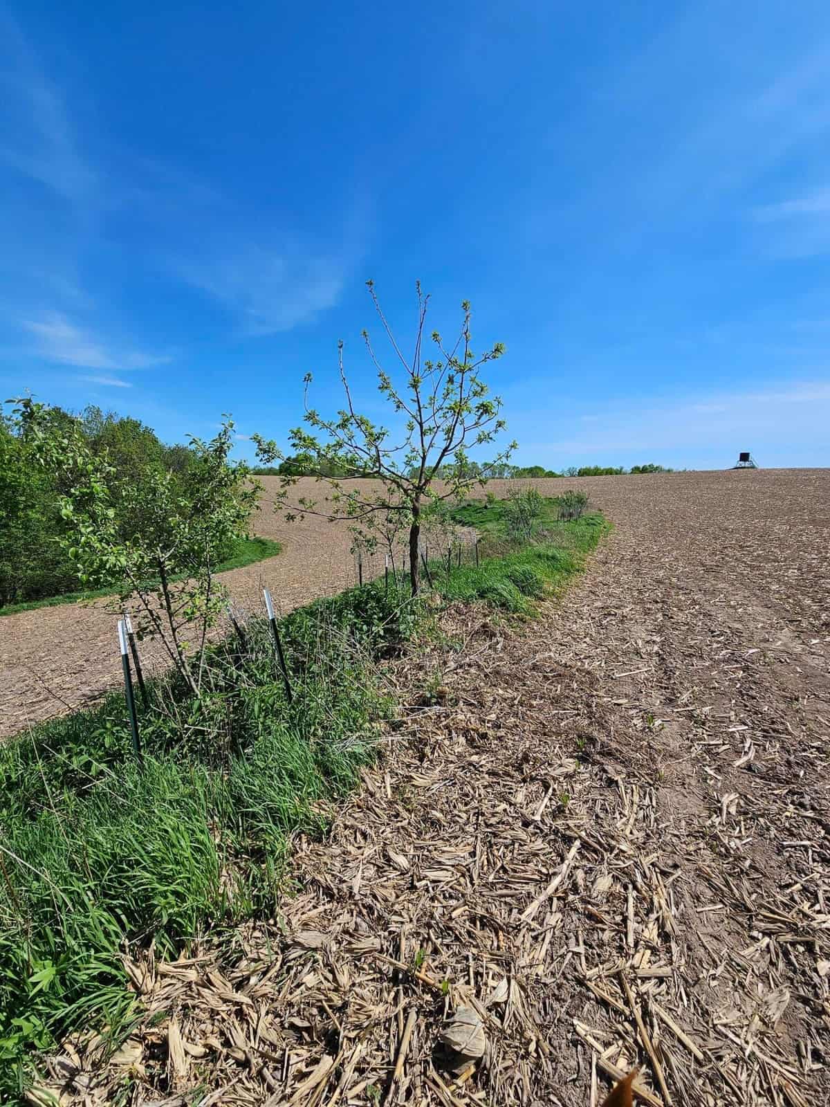 65-acre trophy whitetail and turkey hotspot