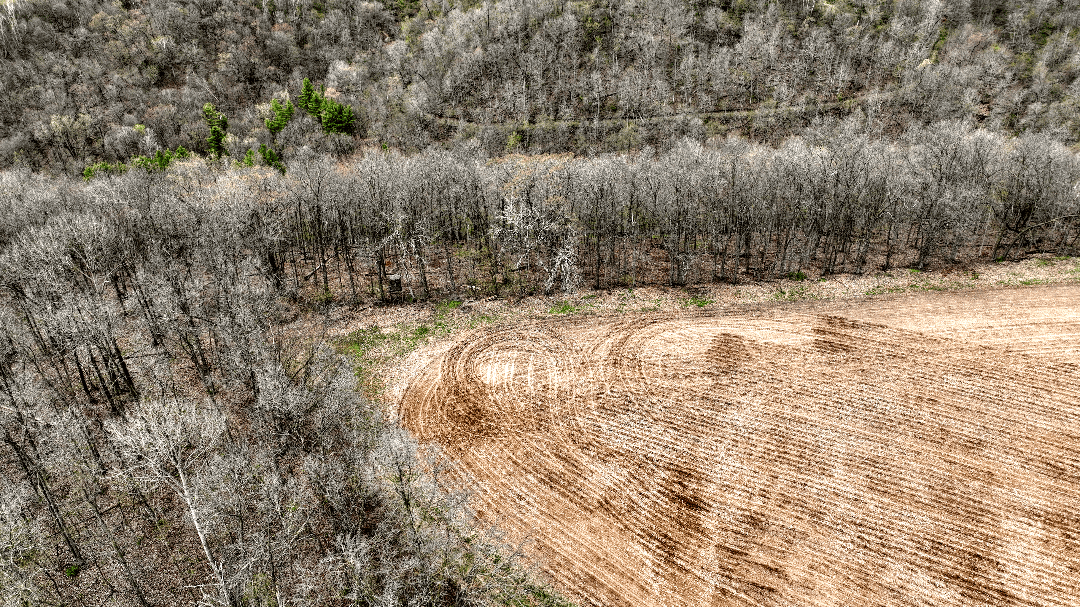 65-acre trophy whitetail and turkey hotspot