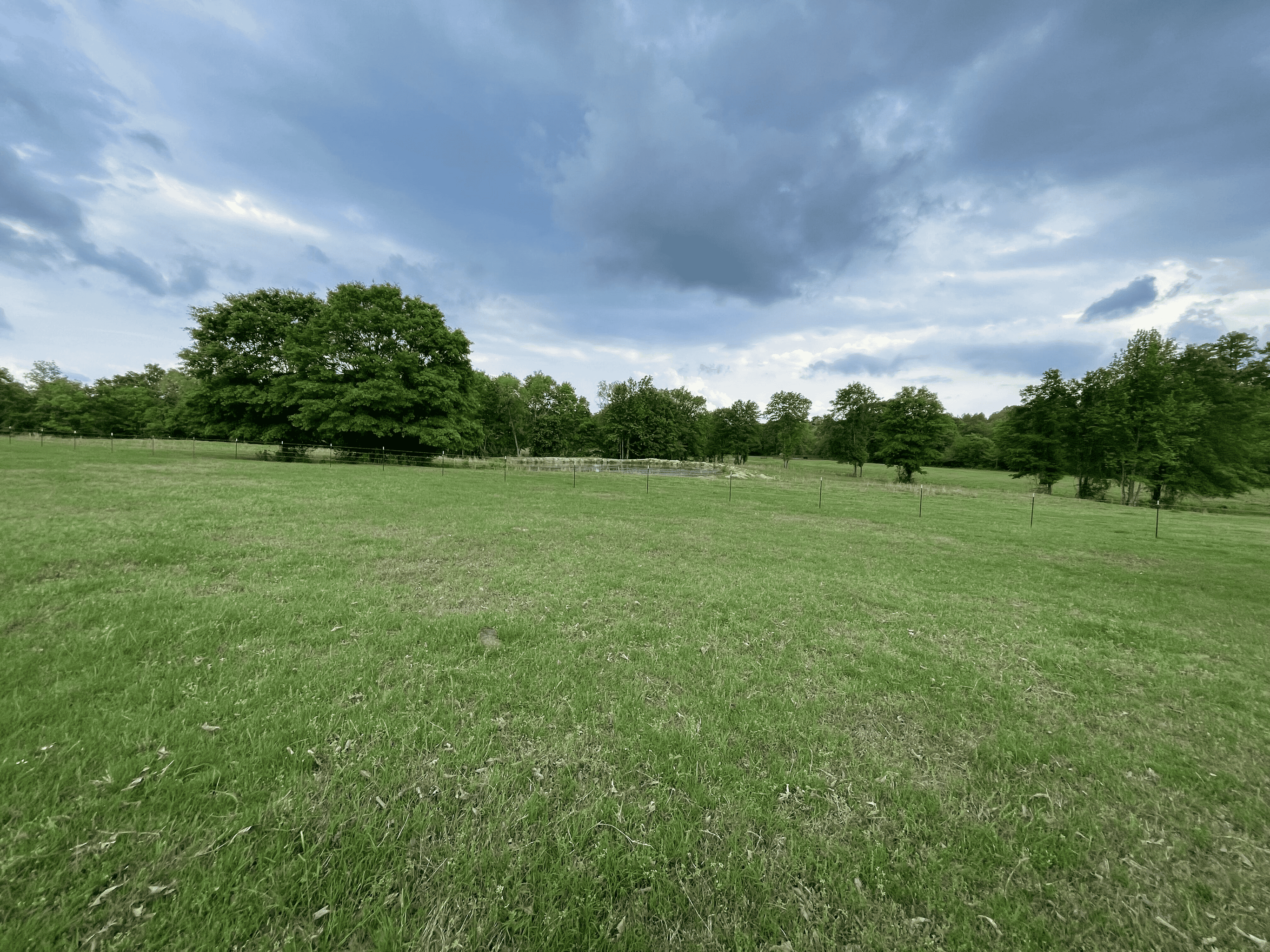 Secluded 100 Acre Mol Ranch in McCurtain County OK