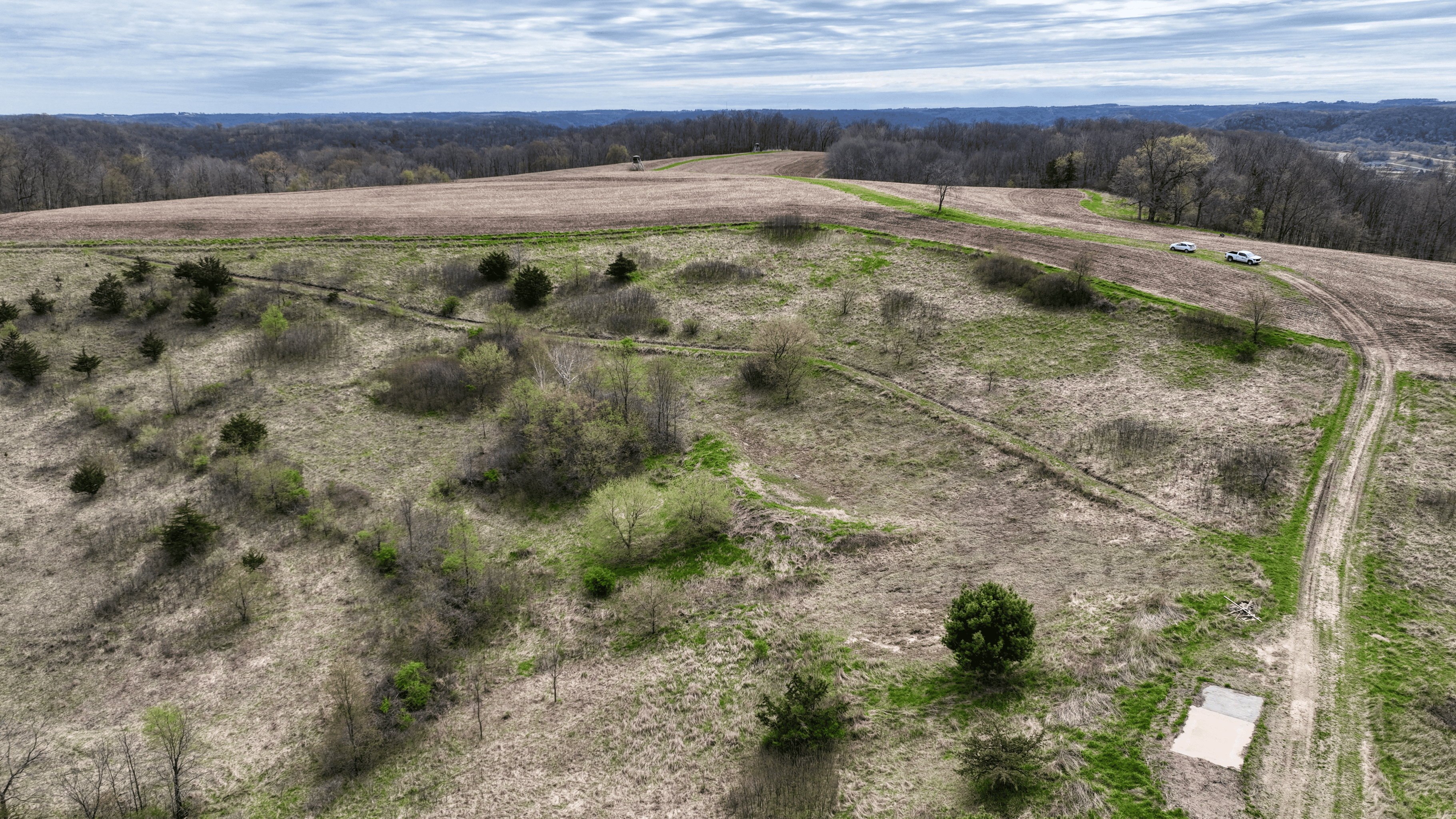 65-acre trophy whitetail and turkey hotspot