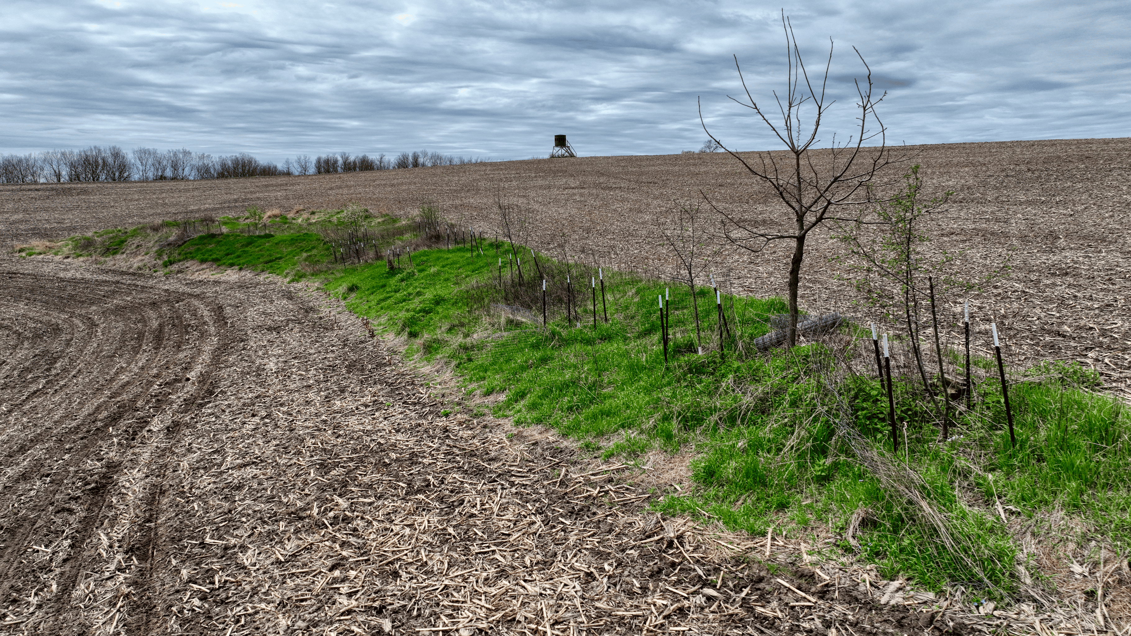 65-acre trophy whitetail and turkey hotspot