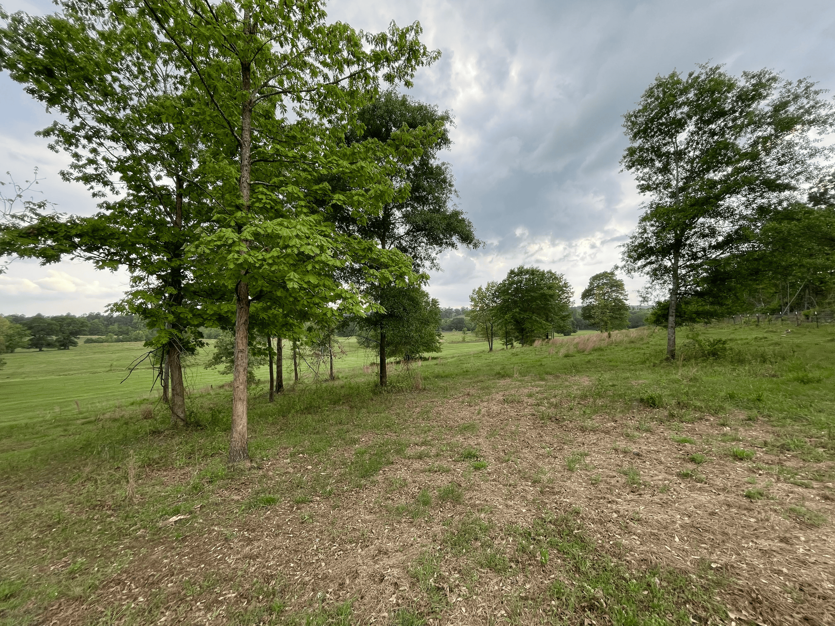 Secluded 100 Acre Mol Ranch in McCurtain County OK