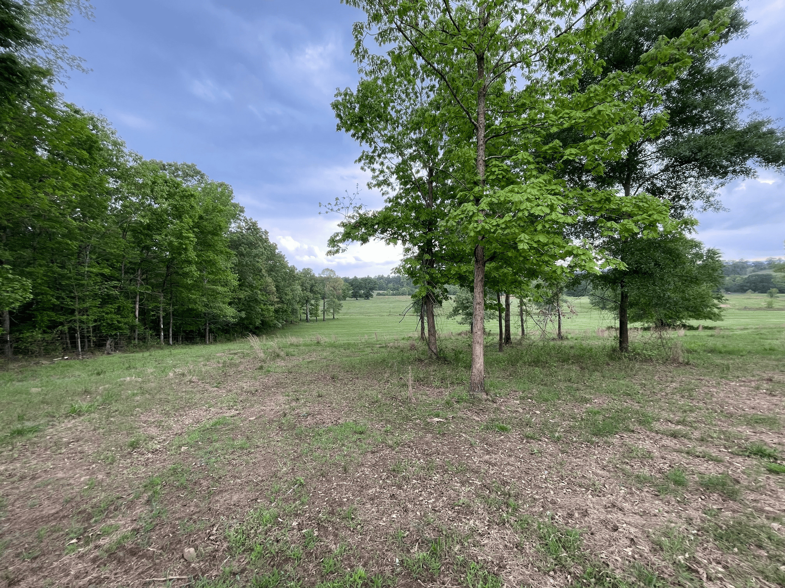 Secluded 100 Acre Mol Ranch in McCurtain County OK