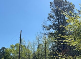 Excellent ±6 AC Hunting Land in Miller County