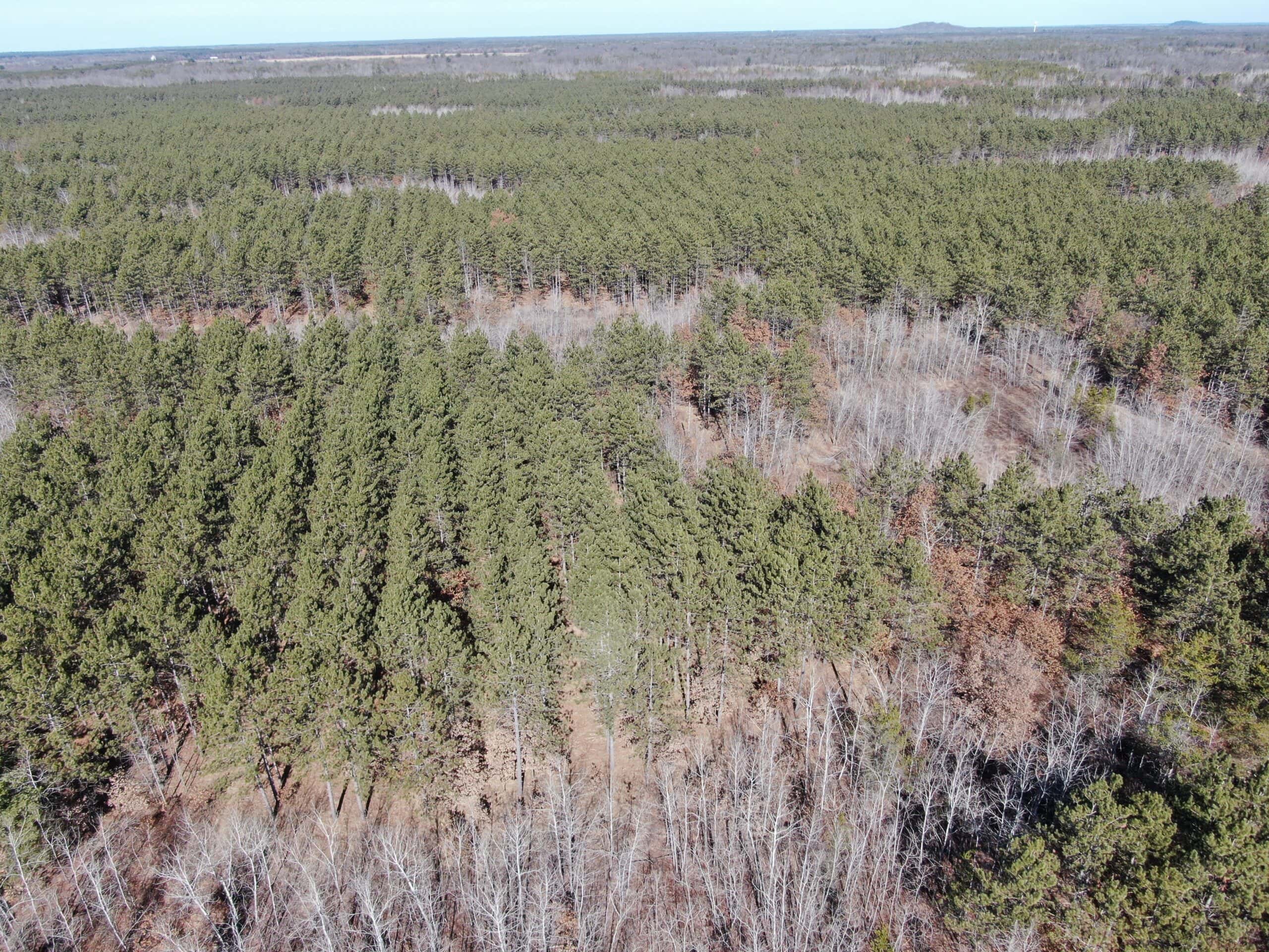 Juneau County WI 200-Acre Tract of Land