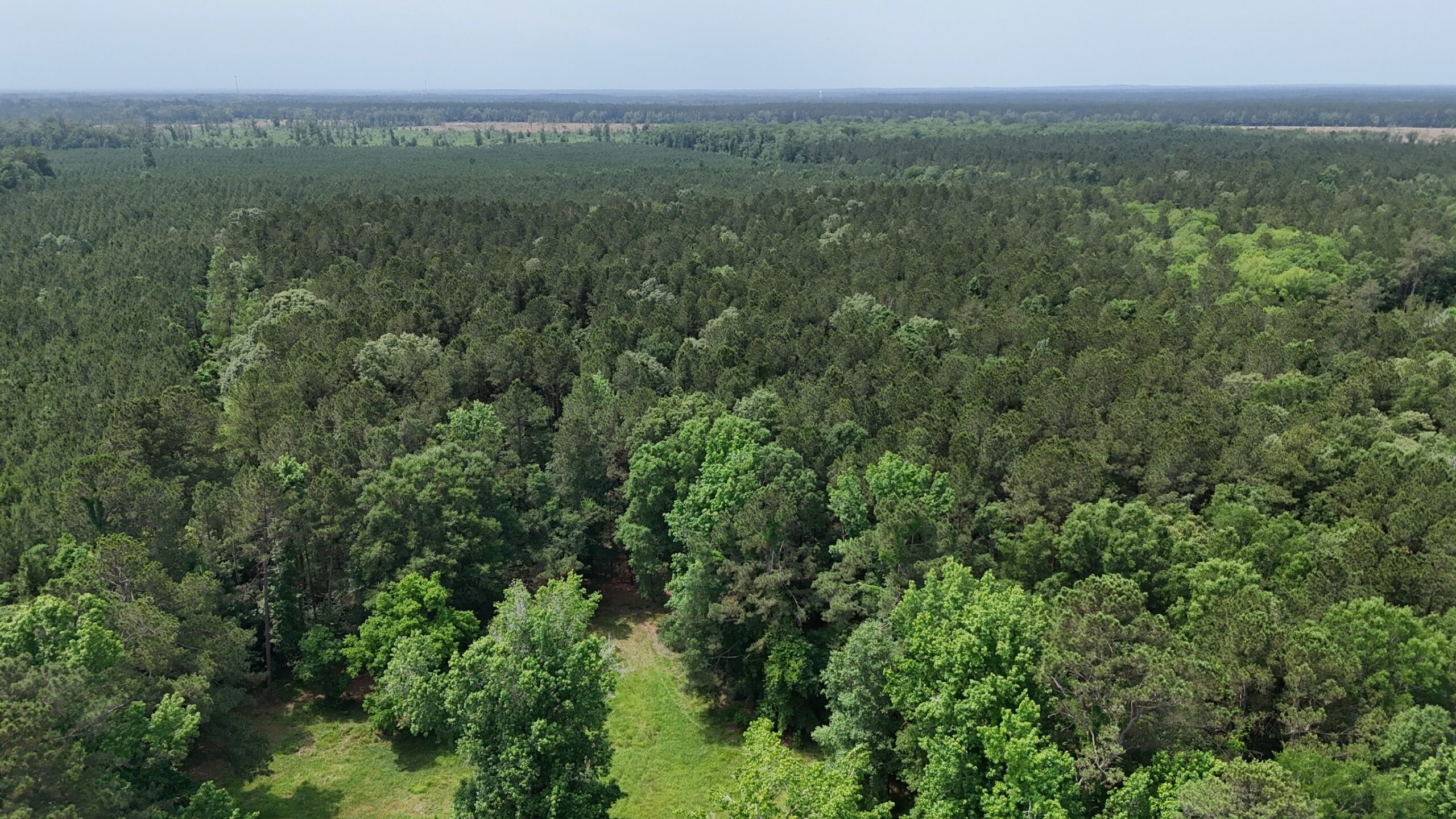 70 Acre Hunting Property with Camp Spot and Utilities