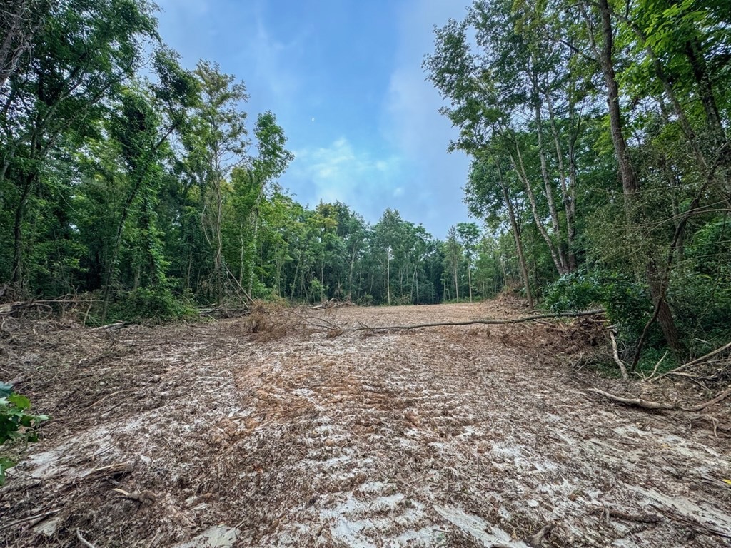 51 Acres of Hunting Land for Sale in Roxie, Mississippi