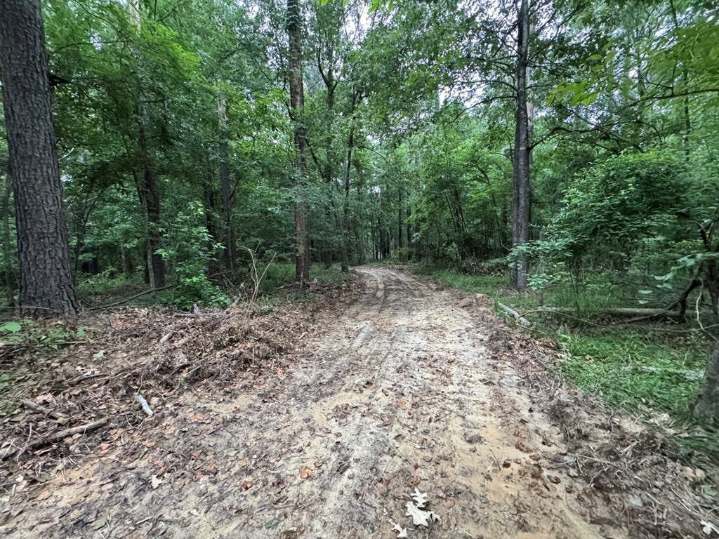 Hamburg 41: Hunting Land for Sale in Roxie, Mississippi