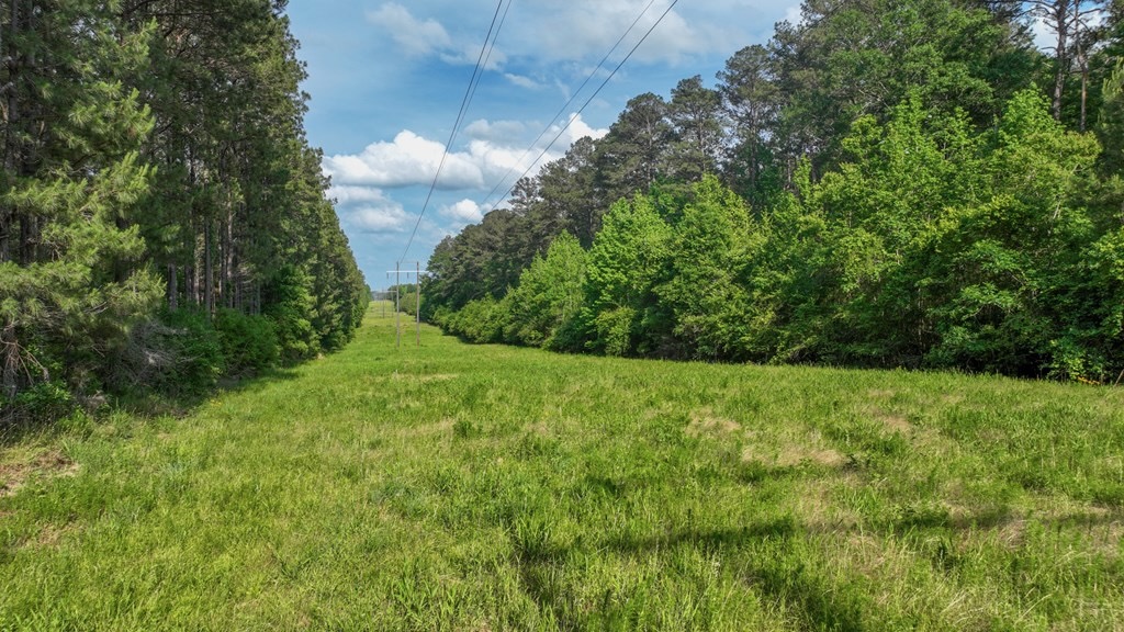 South Mississippi Hunting Paradise for Sale Amite County,MS