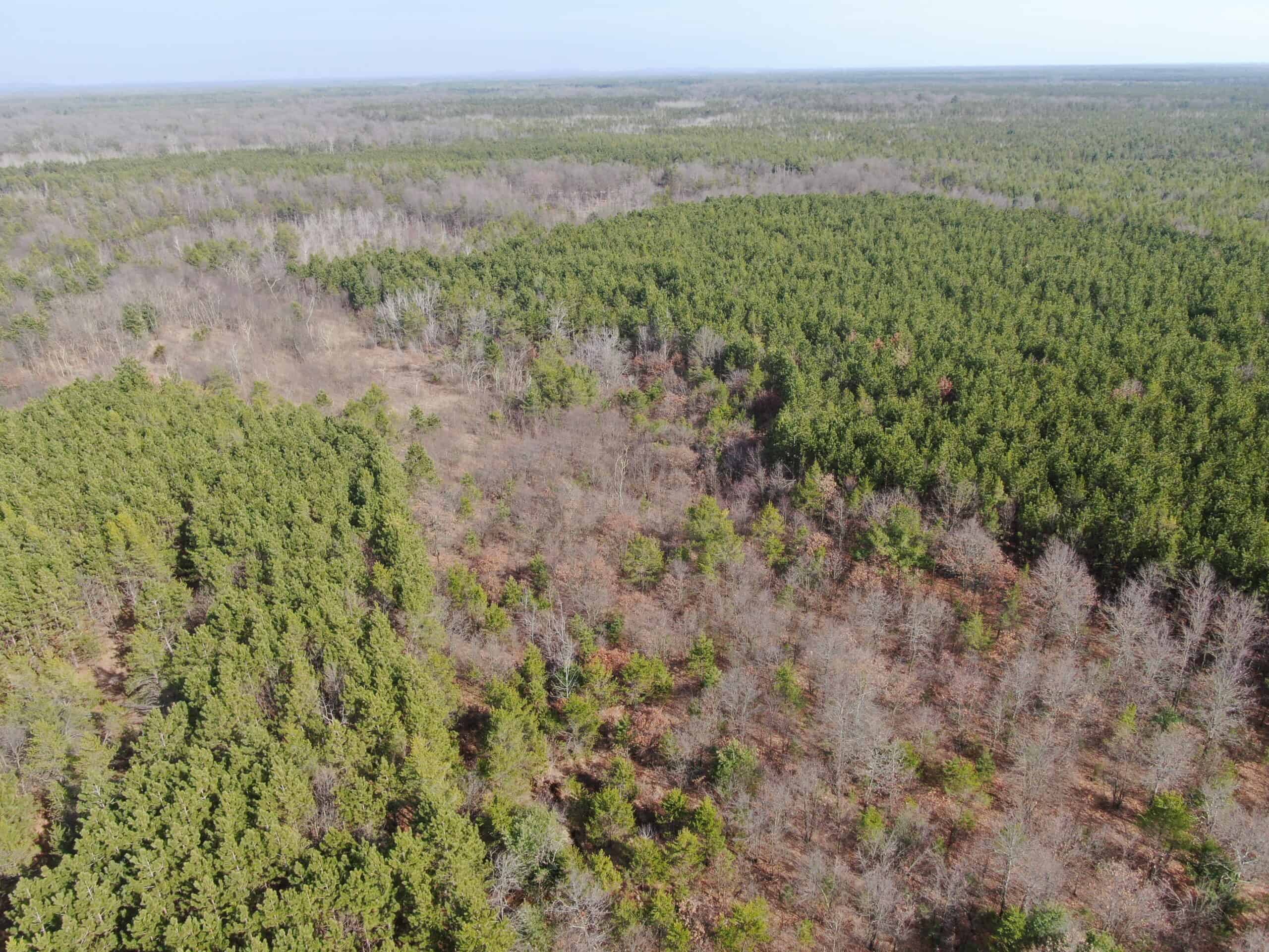 Juneau County 76 +/- Acre Parcel