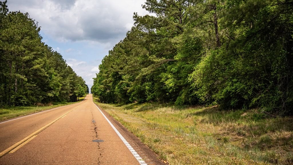 Hunting Property Homochitto Nat’l Forest Wilkinson Co MS