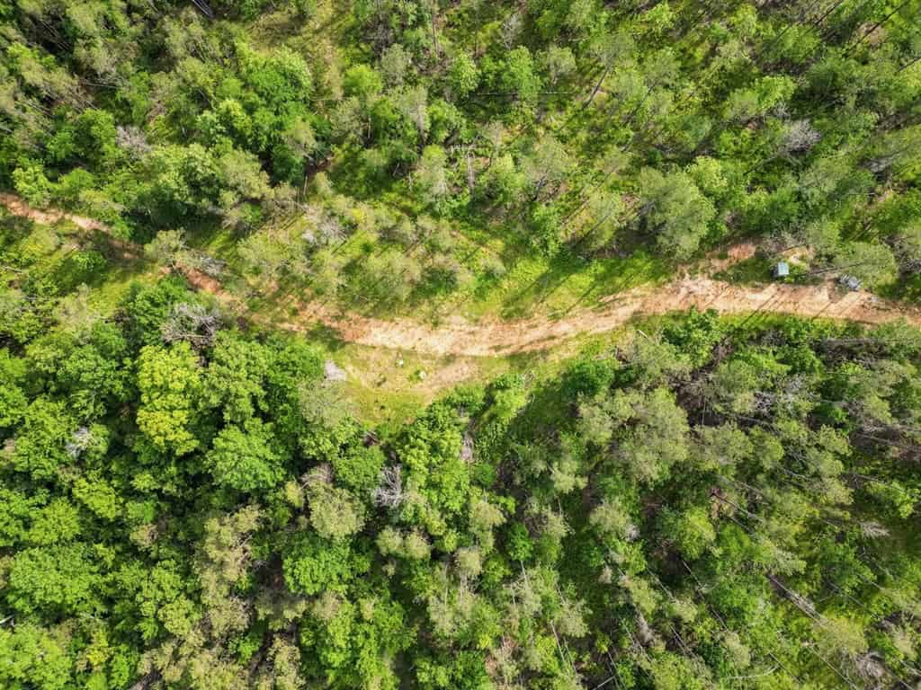586 Hunting Land in the Catahoula Hills with Creek