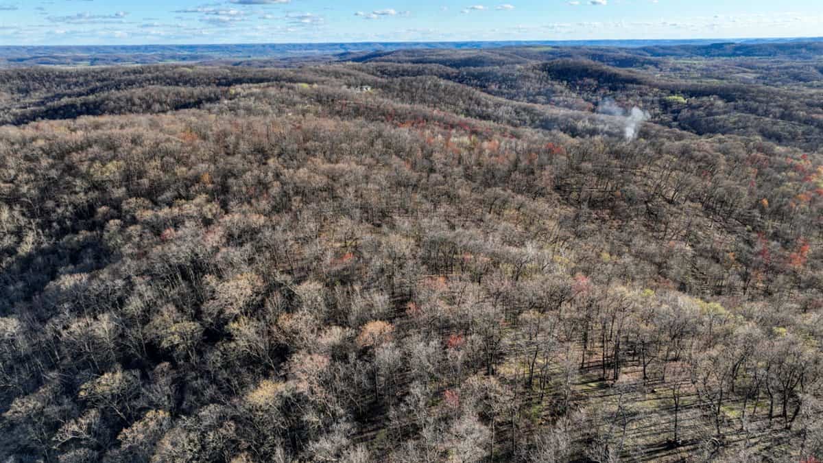 Premium 32+/- Acre Parcel in La Crosse County WI