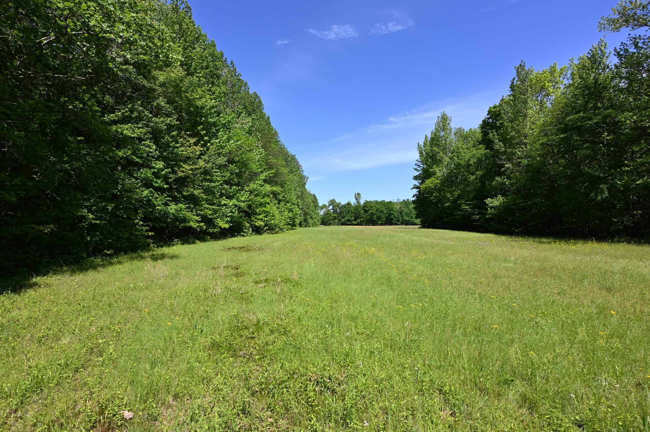 LAND FOR SALE IN TN, 39 AC+/-, CREEK, OPEN & WOODED, HUNTING