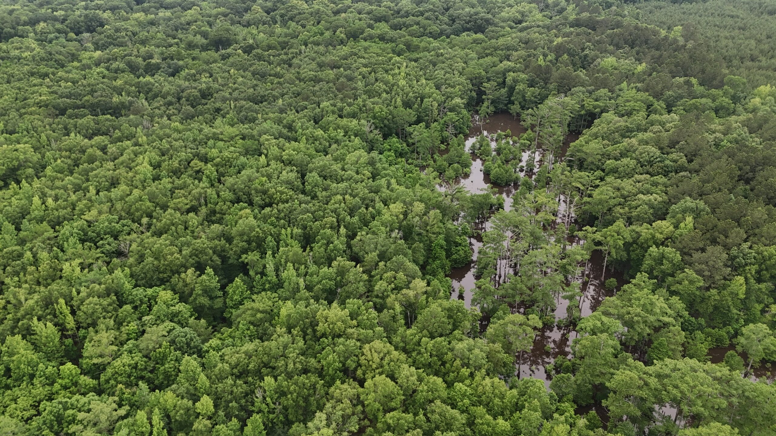 Riverfront Hunting Property with a Private Lake