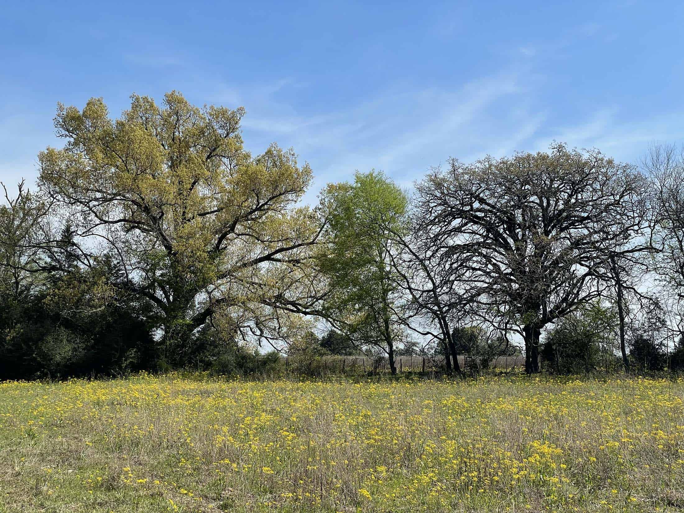 Recreational Ranch North of Houston near Grapeland TX