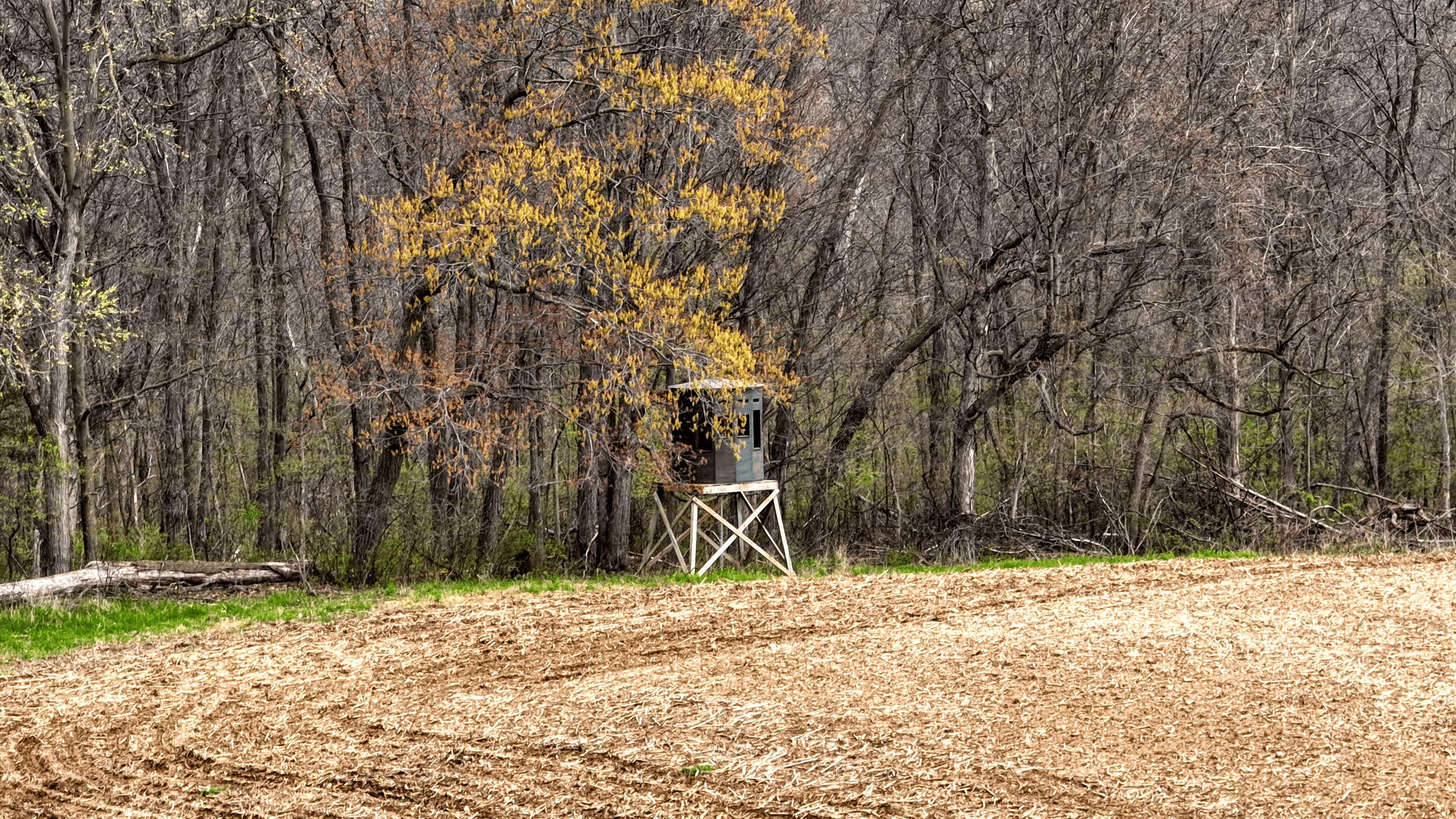 65-acre trophy whitetail and turkey hotspot