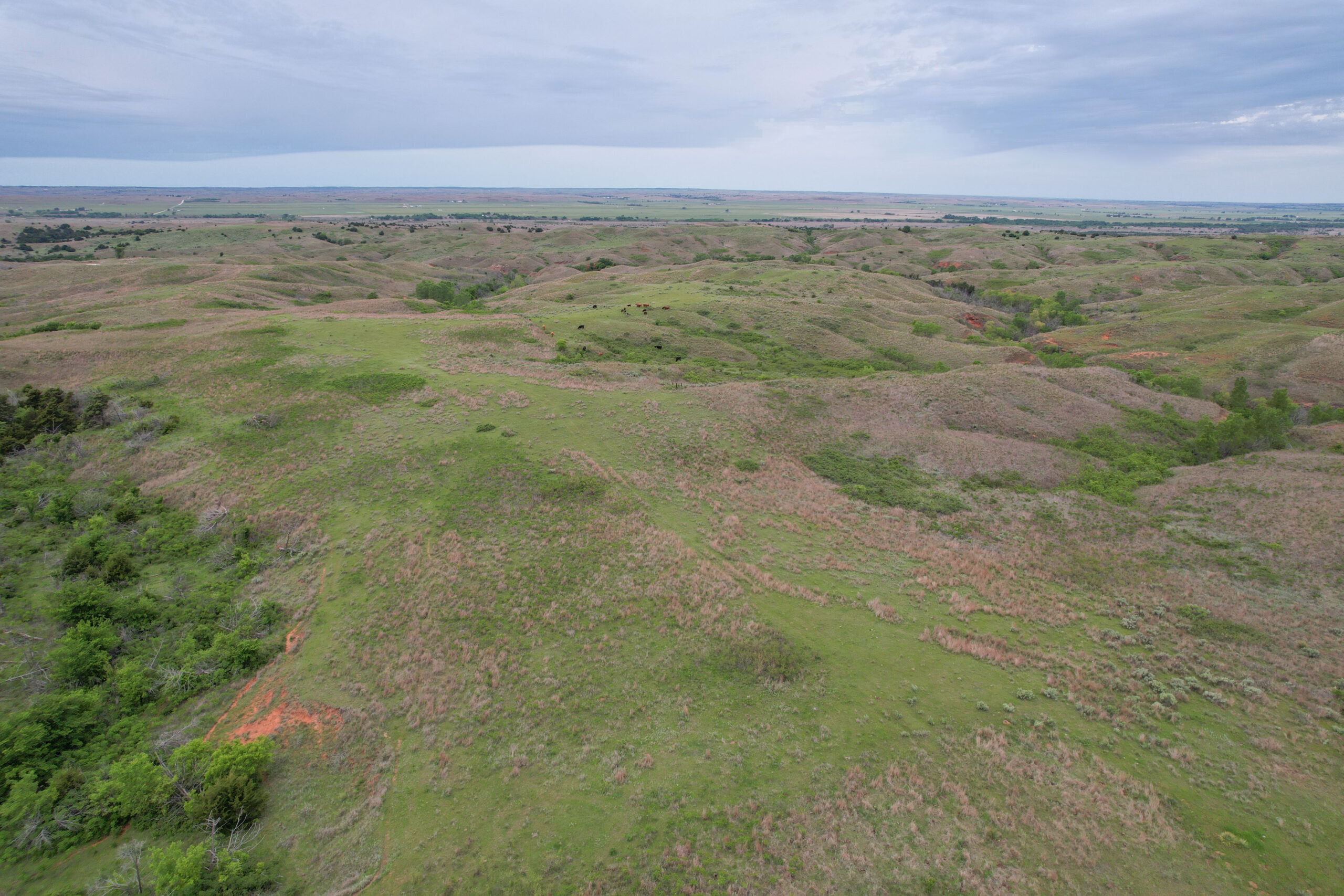 880± Acres of Hunting, Fishing & Ranch Land in Western Oklahoma for Sale