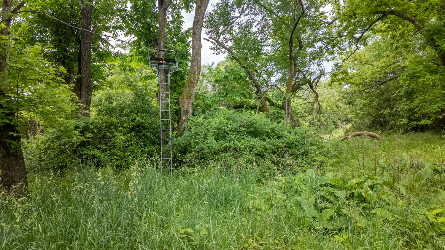 Hobby Farm for sale in Oregon County