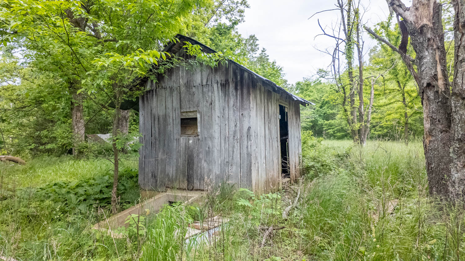 Hobby Farm for sale in Oregon County
