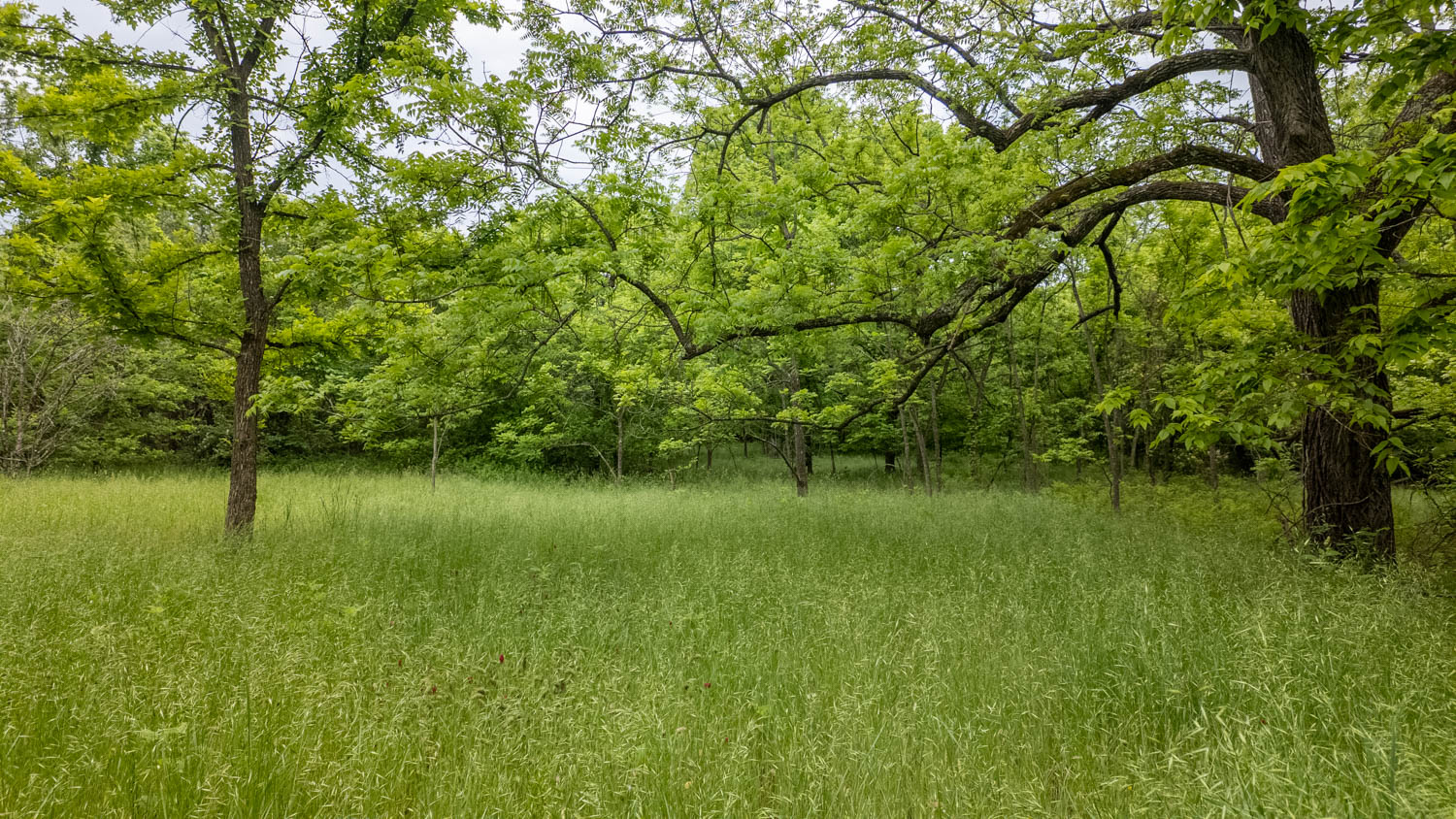 Hobby Farm for sale in Oregon County
