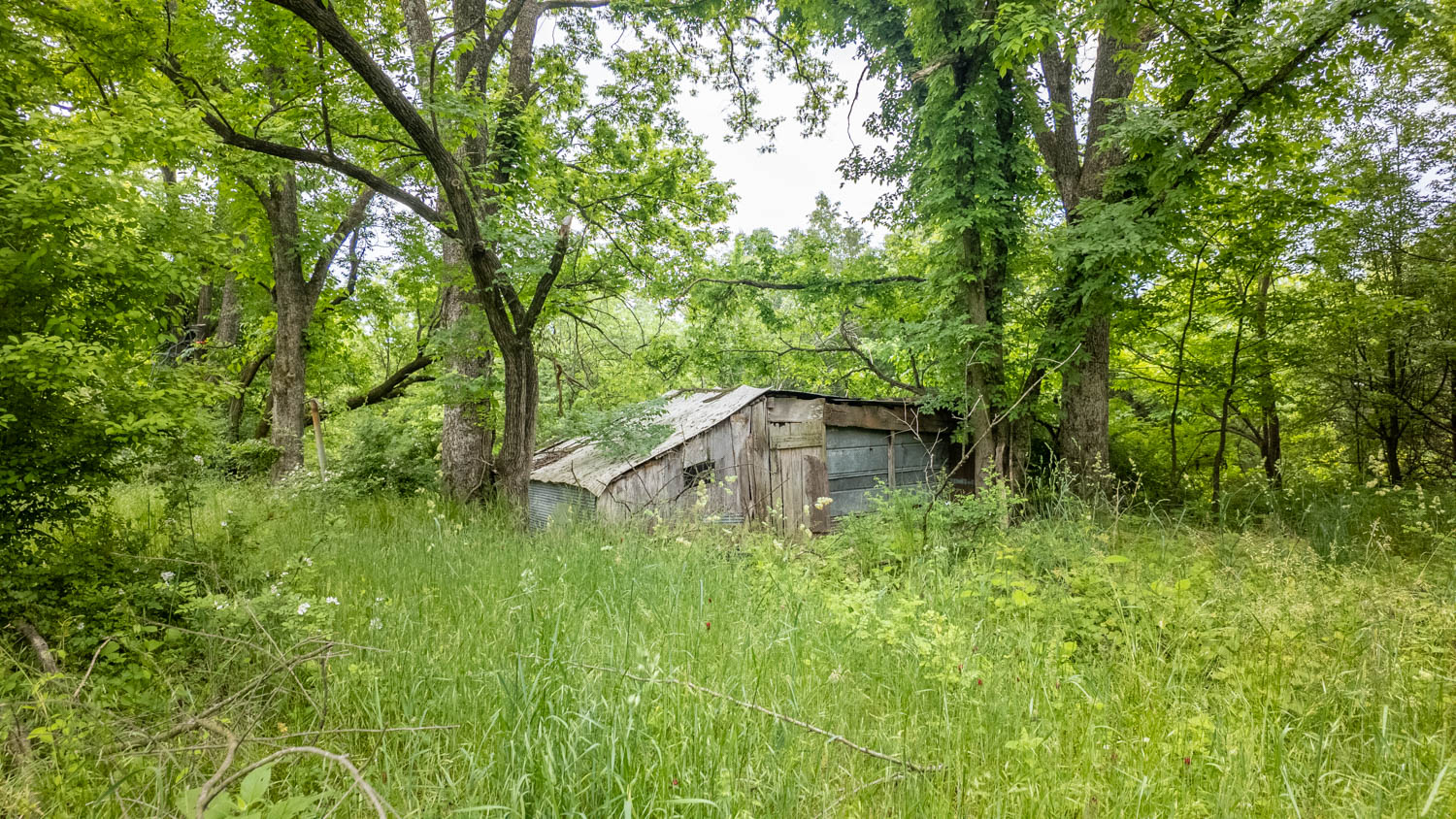 Hobby Farm for sale in Oregon County