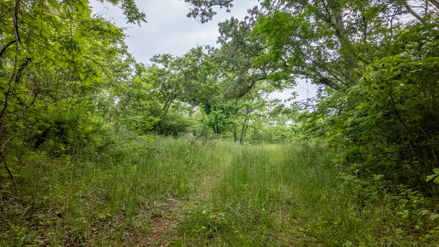 Hobby Farm for sale in Oregon County