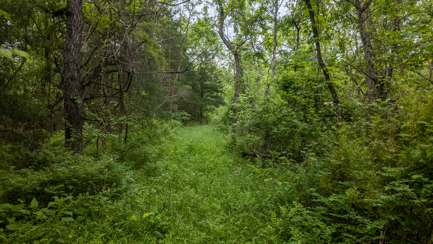 Hobby Farm for sale in Oregon County