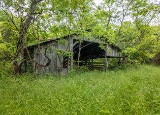 Hobby Farm for sale in Oregon County