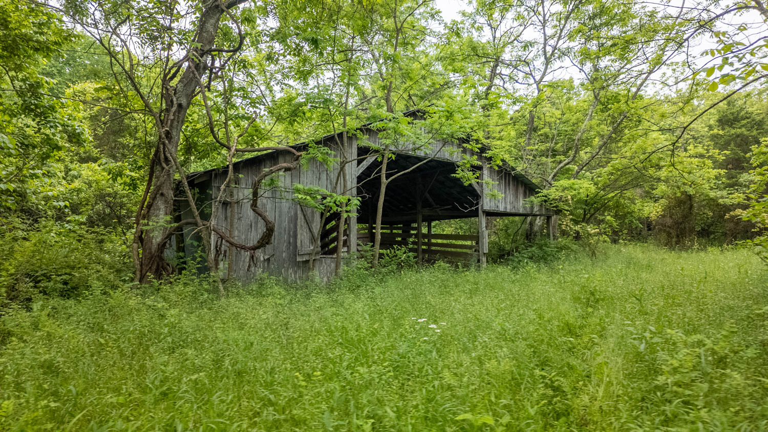 Hobby Farm for sale in Oregon County